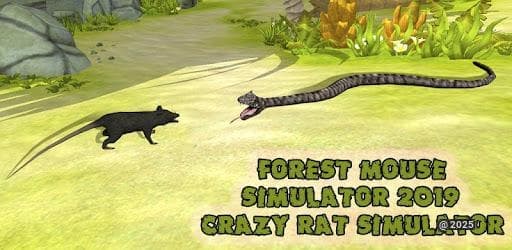 Forest Mouse